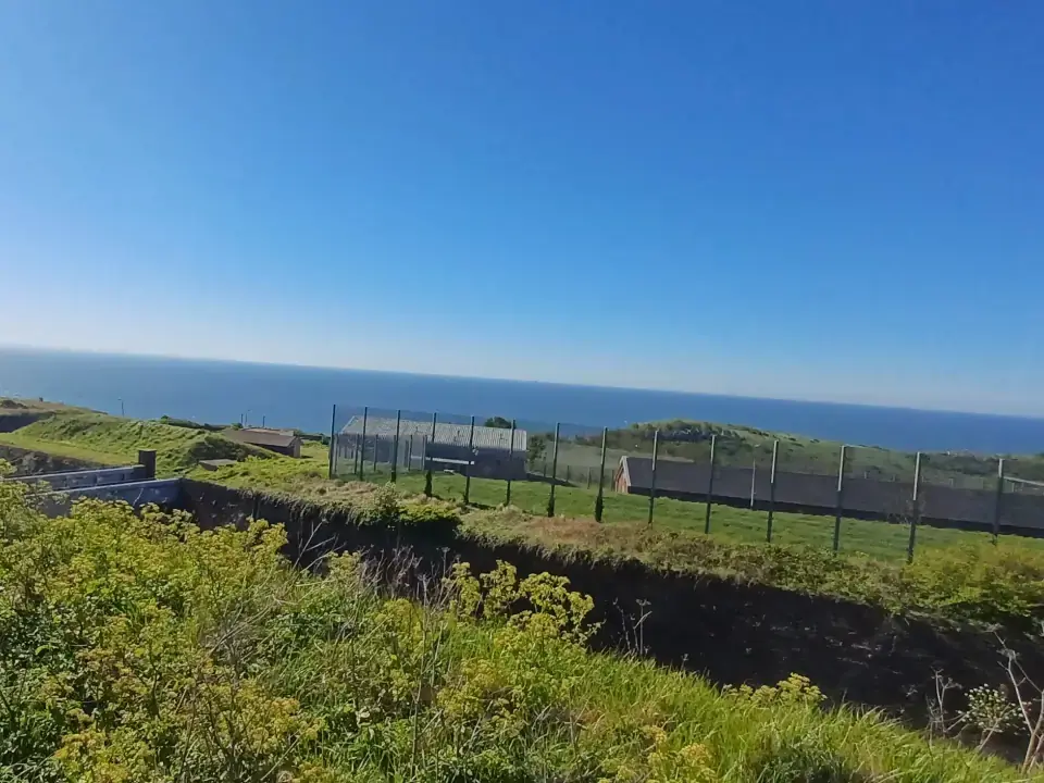Viewpoints photo 3