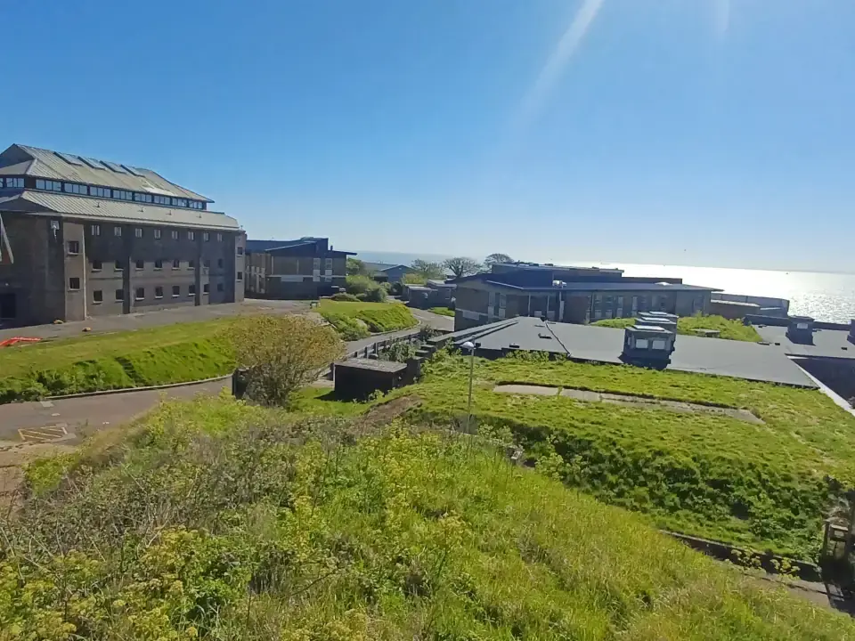 Viewpoints photo 4